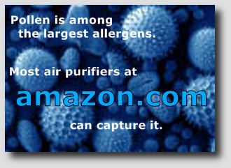 pollen ad